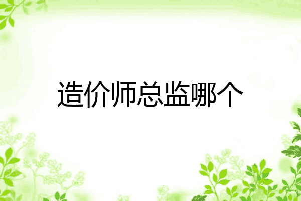 造价师总监哪个