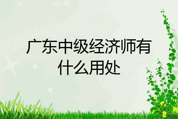 广东中级经济师有什么用处