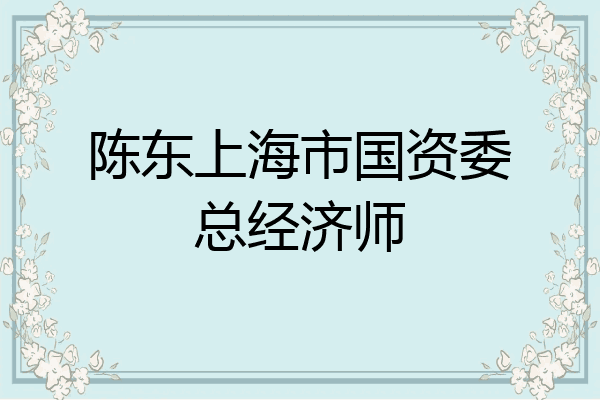 陈东上海市国资委总经济师