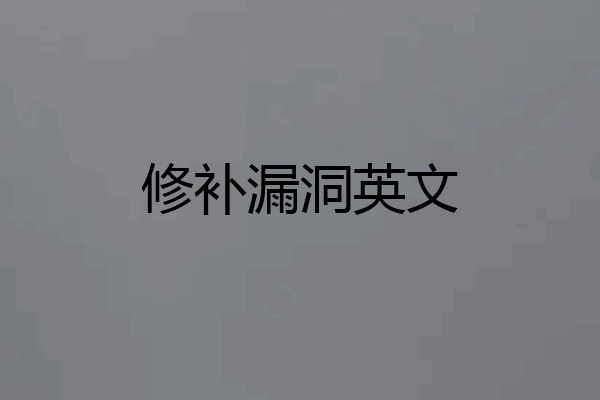 修补漏洞英文
