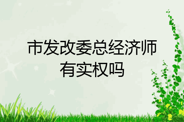 市发改委总经济师有实权吗