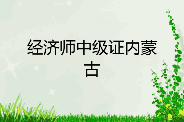 经济师中级证内蒙古