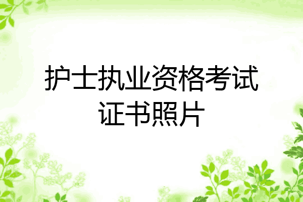 护士执业资格考试证书照片