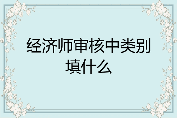经济师审核中类别填什么