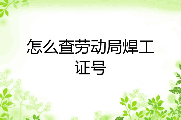 怎么查劳动局焊工证号