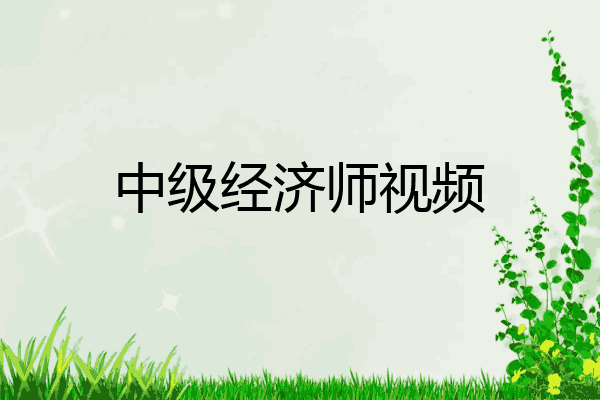 中级经济师视频