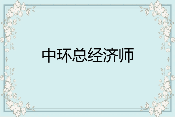 中环总经济师
