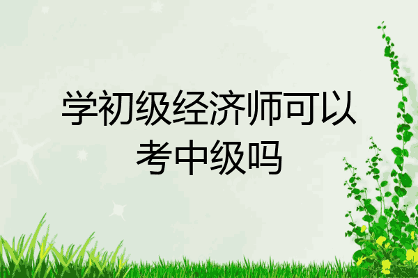 学初级经济师可以考中级吗