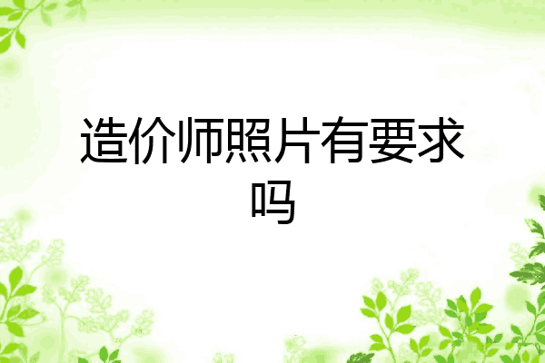 造价师照片有要求吗