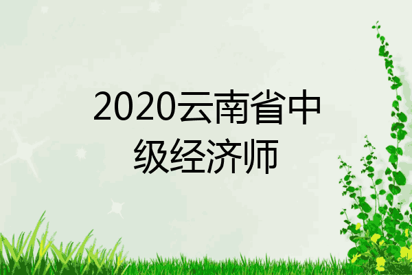 2020云南省中级经济师