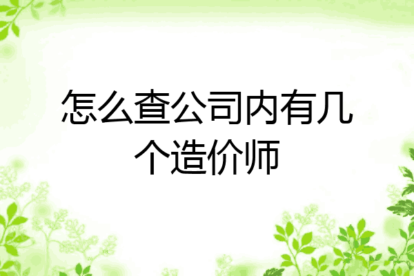 怎么查公司内有几个造价师