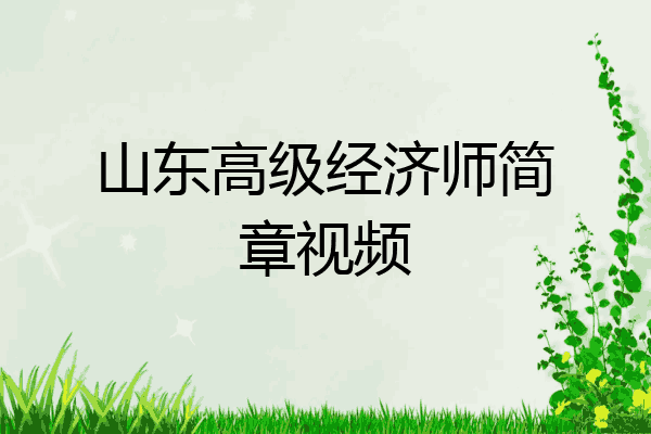 山东高级经济师简章视频