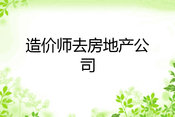 造价师去房地产公司