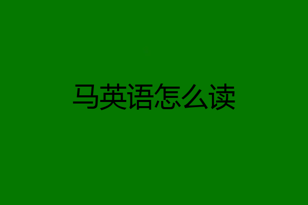 马英语怎么读