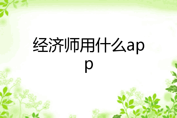 经济师用什么app