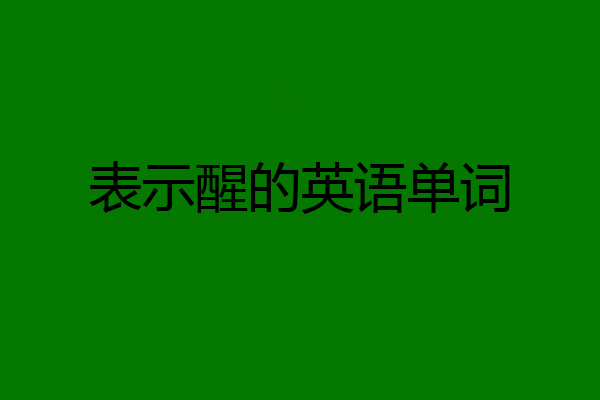 表示醒的英语单词