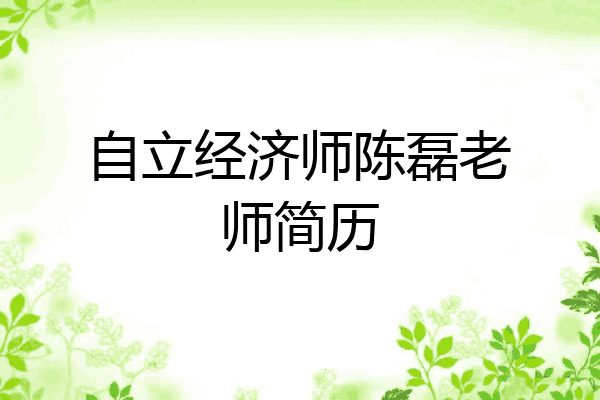 自立经济师陈磊老师简历