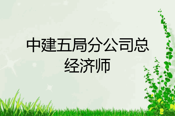 中建五局分公司总经济师