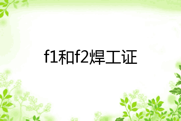 f1和f2焊工证
