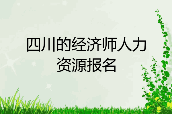 四川的经济师人力资源报名