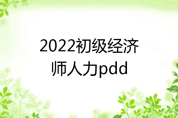 2022初级经济师人力pdd