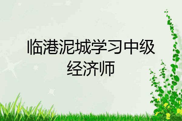 临港泥城学习中级经济师