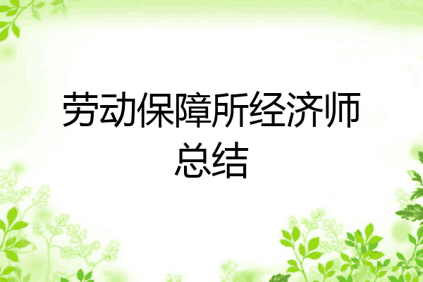 劳动保障所经济师总结