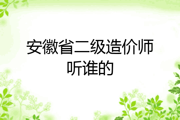 安徽省二级造价师听谁的