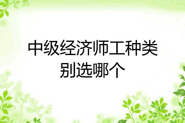 中级经济师工种类别选哪个