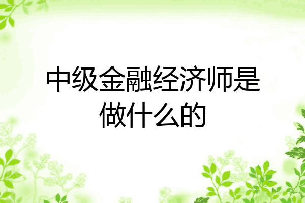 中级金融经济师是做什么的