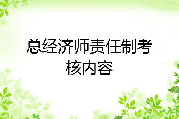 总经济师责任制考核内容