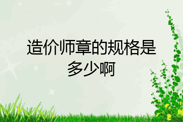 造价师章的规格是多少啊