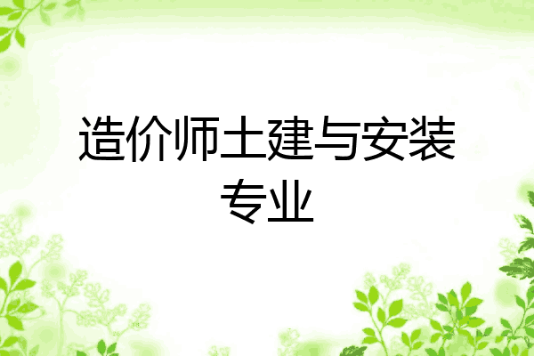 造价师土建与安装专业