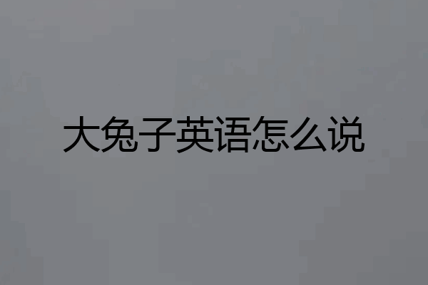 大兔子英语怎么说