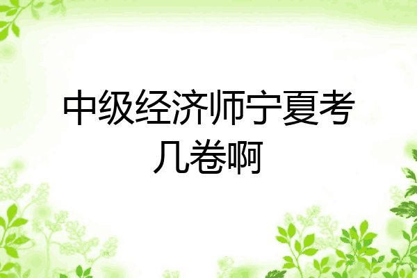 中级经济师宁夏考几卷啊