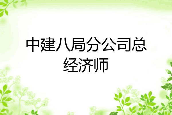 中建八局分公司总经济师