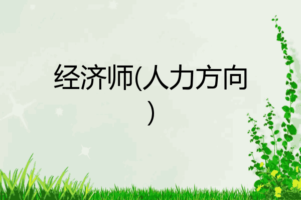 经济师(人力方向)