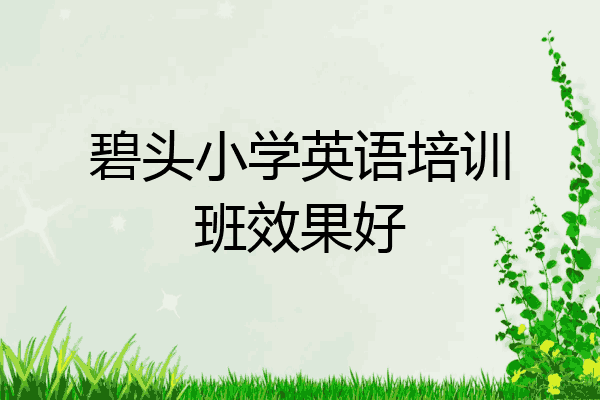 碧头小学英语培训班效果好