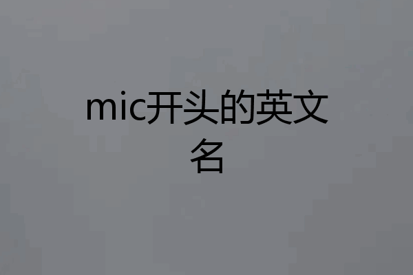 mic开头的英文名