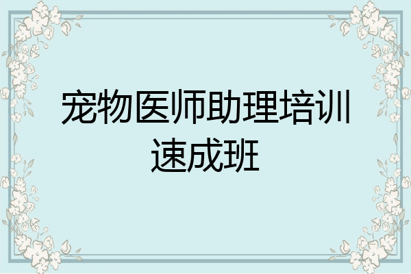 宠物医师助理培训速成班