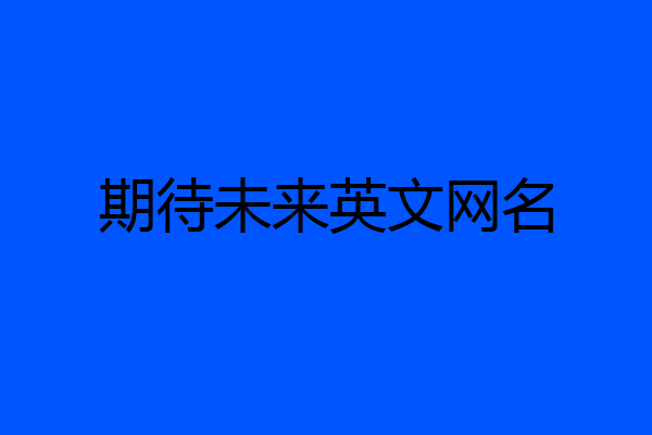 期待未来英文网名