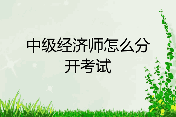 中级经济师怎么分开考试