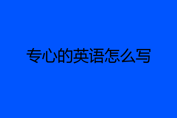 专心的英语怎么写