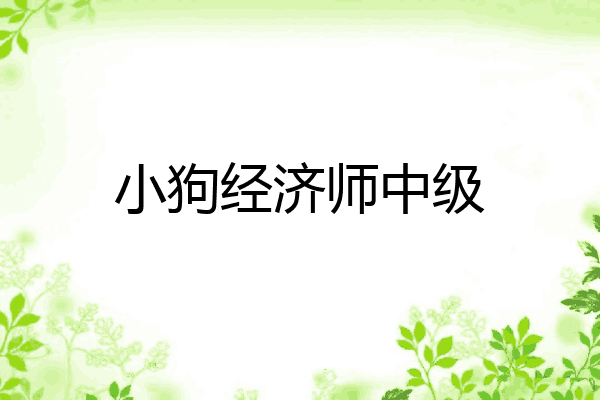 小狗经济师中级