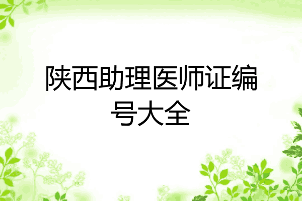 陕西助理医师证编号大全