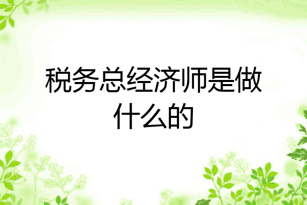 税务总经济师是做什么的