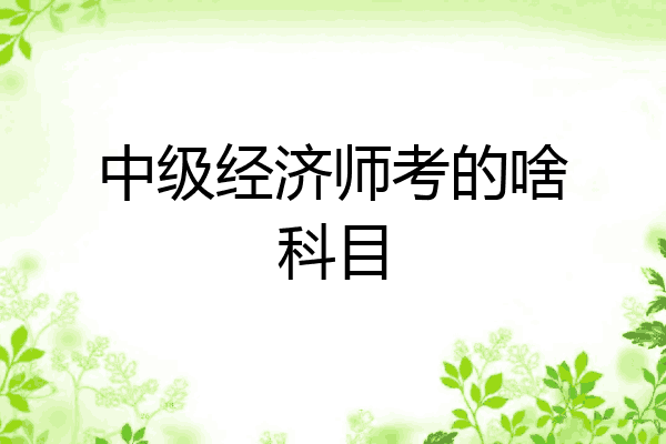 中级经济师考的啥科目