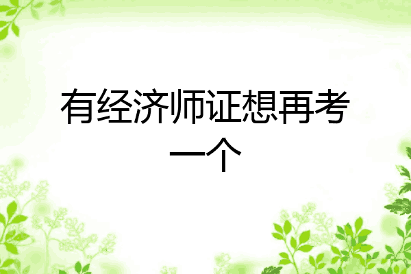 有经济师证想再考一个