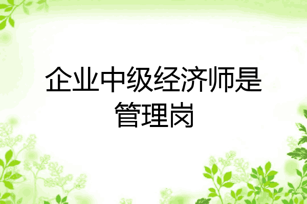 企业中级经济师是管理岗