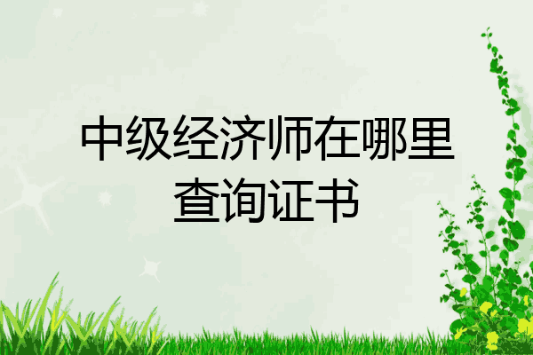 中级经济师在哪里查询证书